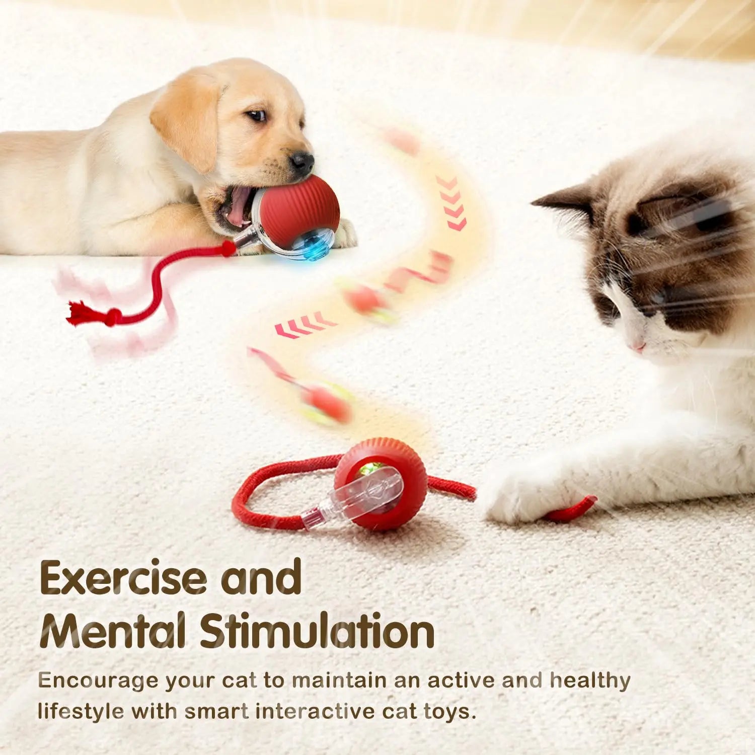Smart Interactive Cat Ball Toy – Auto-Rolling with Tail, 3 Play Modes, Rechargeable | New Version