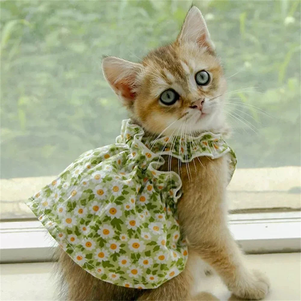 Floral Cat Suspender Skirt – Summer Cotton Pet Princess Dress for Sphynx, Kittens & Small Dogs | XS–XL