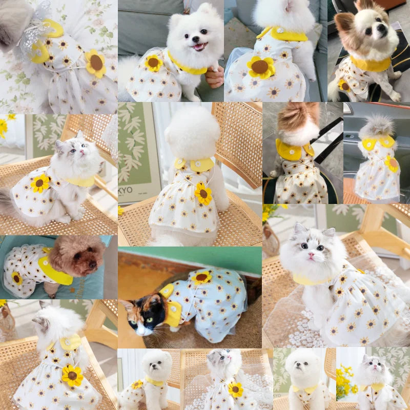 Dog Princess Dress – Cute Mesh Bow Lace Summer Pet Skirt for Small Dogs & Cats | Chihuahua Poodle Puppy Clothes
