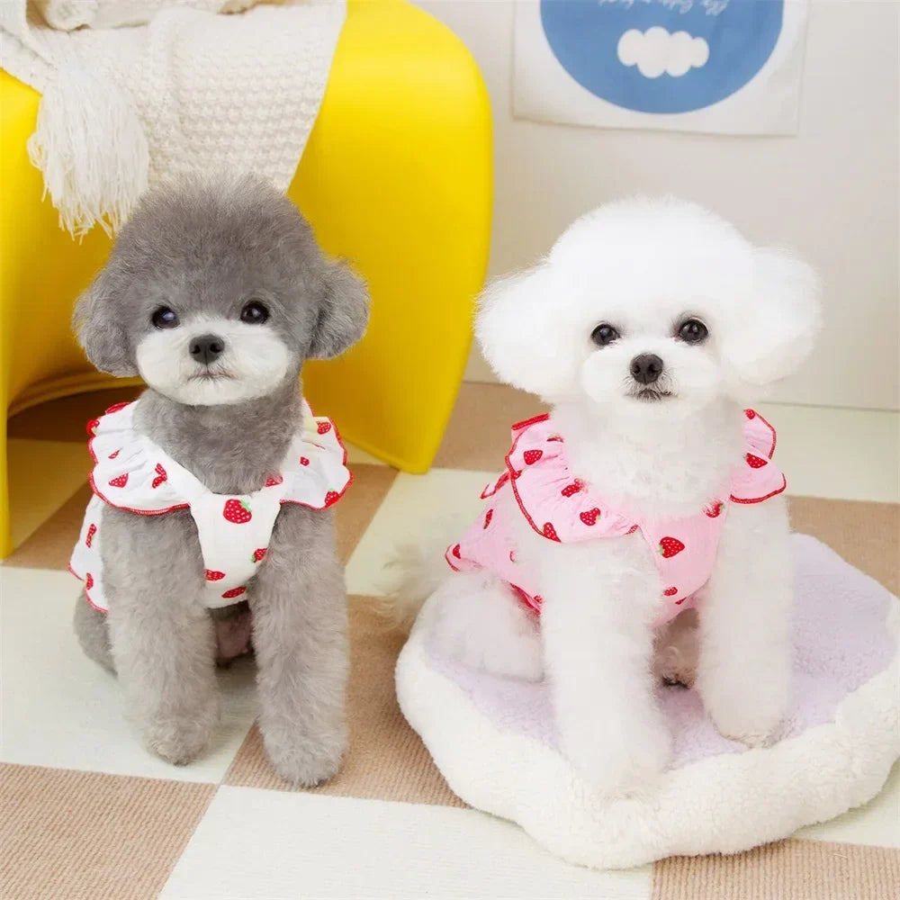 Cute Strawberry Print Dog Dress – Summer Suspender Skirt for Small Dogs & Cats
