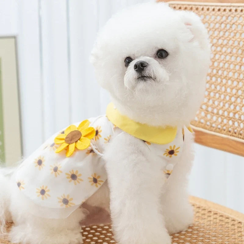 Dog Princess Dress – Cute Mesh Bow Lace Summer Pet Skirt for Small Dogs & Cats | Chihuahua Poodle Puppy Clothes