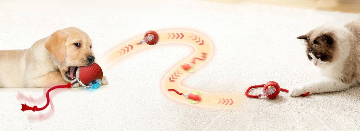 slider image slider_item_9dJyWL
